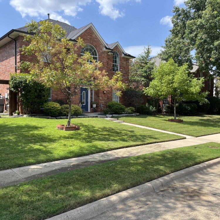 Just another WordPress site Just another WordPress site