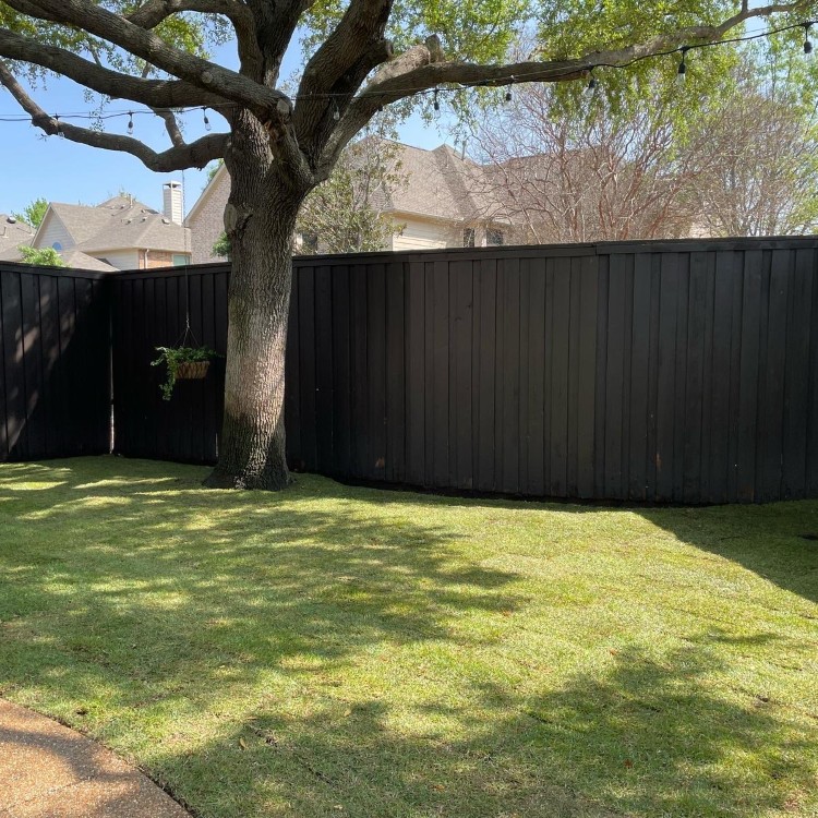 Just another WordPress site