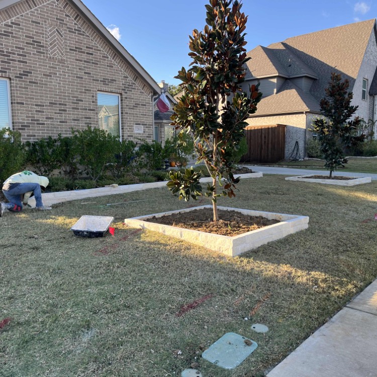 Just another WordPress site