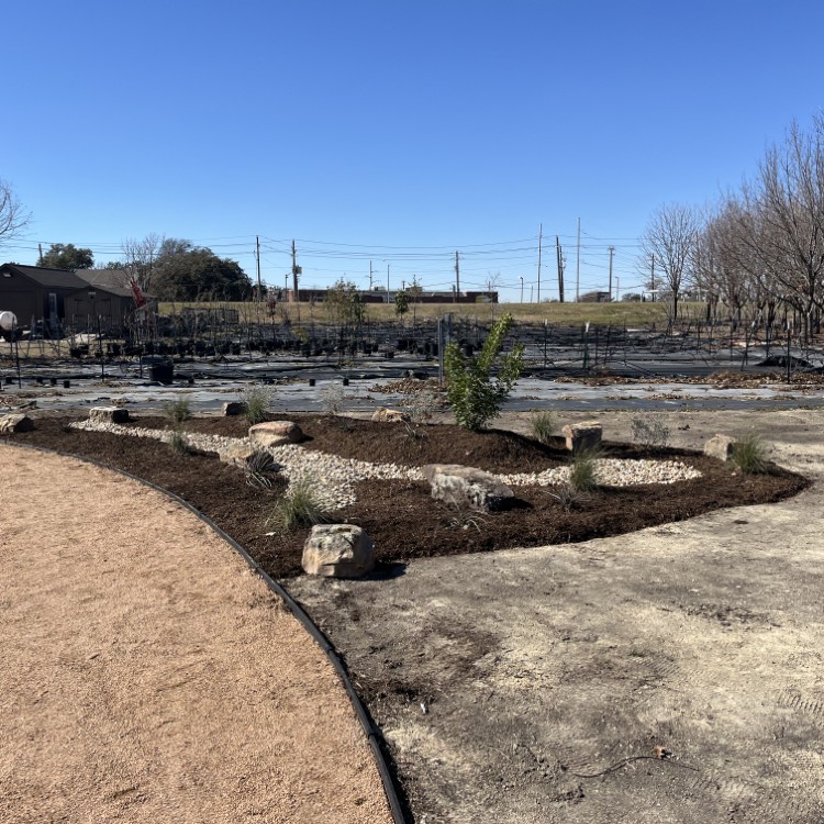 Just another WordPress site